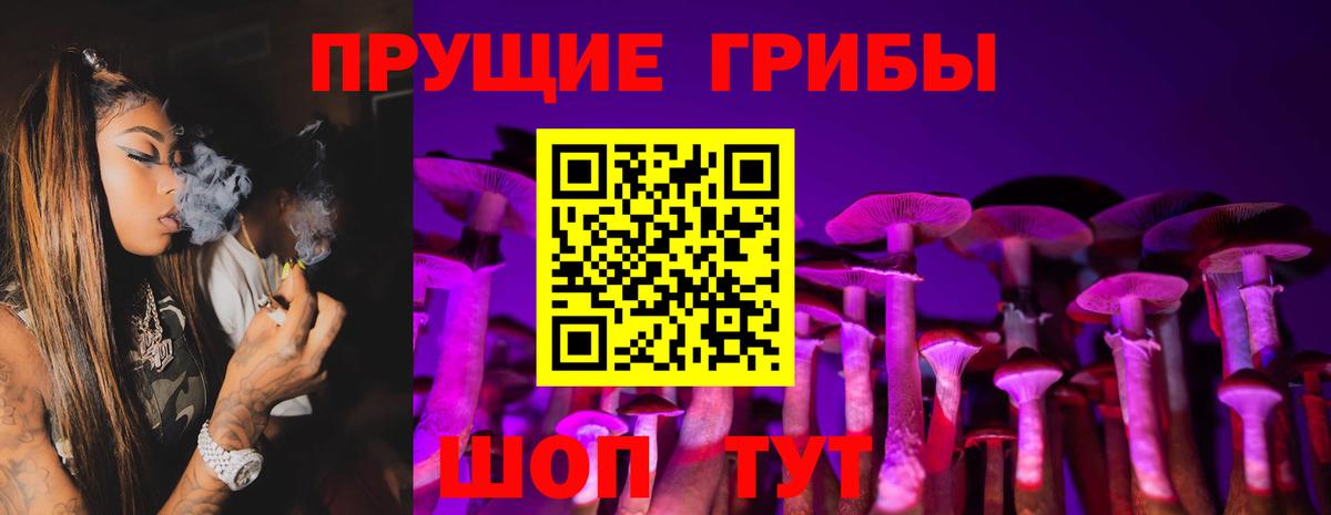Выборг  Псилоцибиновые грибы GOLDEN TEACHER  Галлюциногенные грибы Cubensis  Вход с VPN 